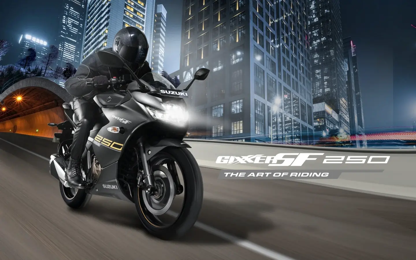 Banner Suzuki Gixxer SF 250