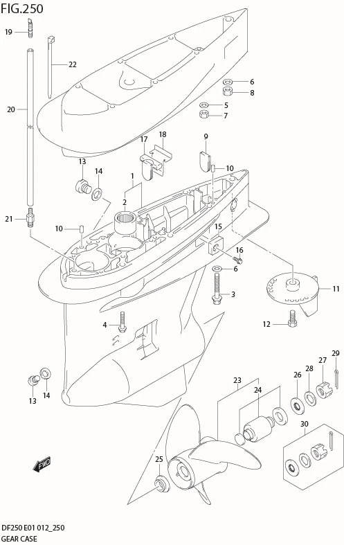 FIG 250 GEAR CASE (DF250T E40)