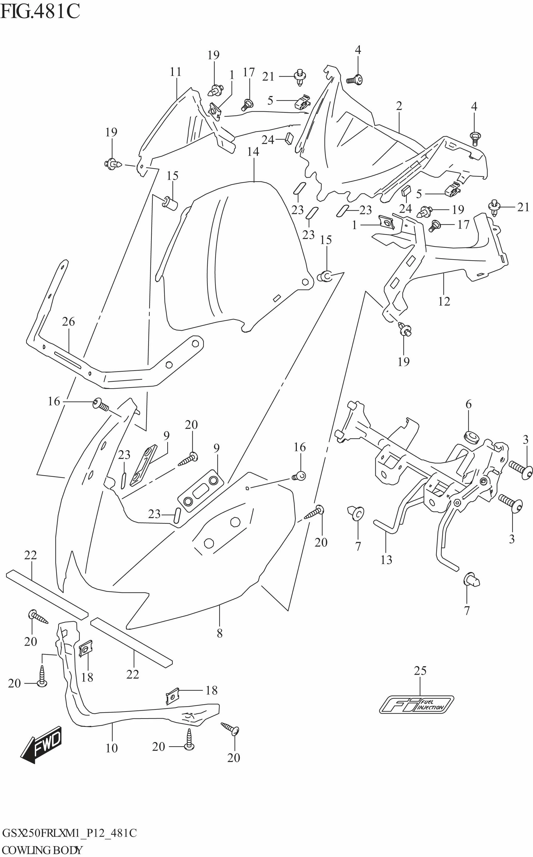 COWLING BODY (GSX250FRL)