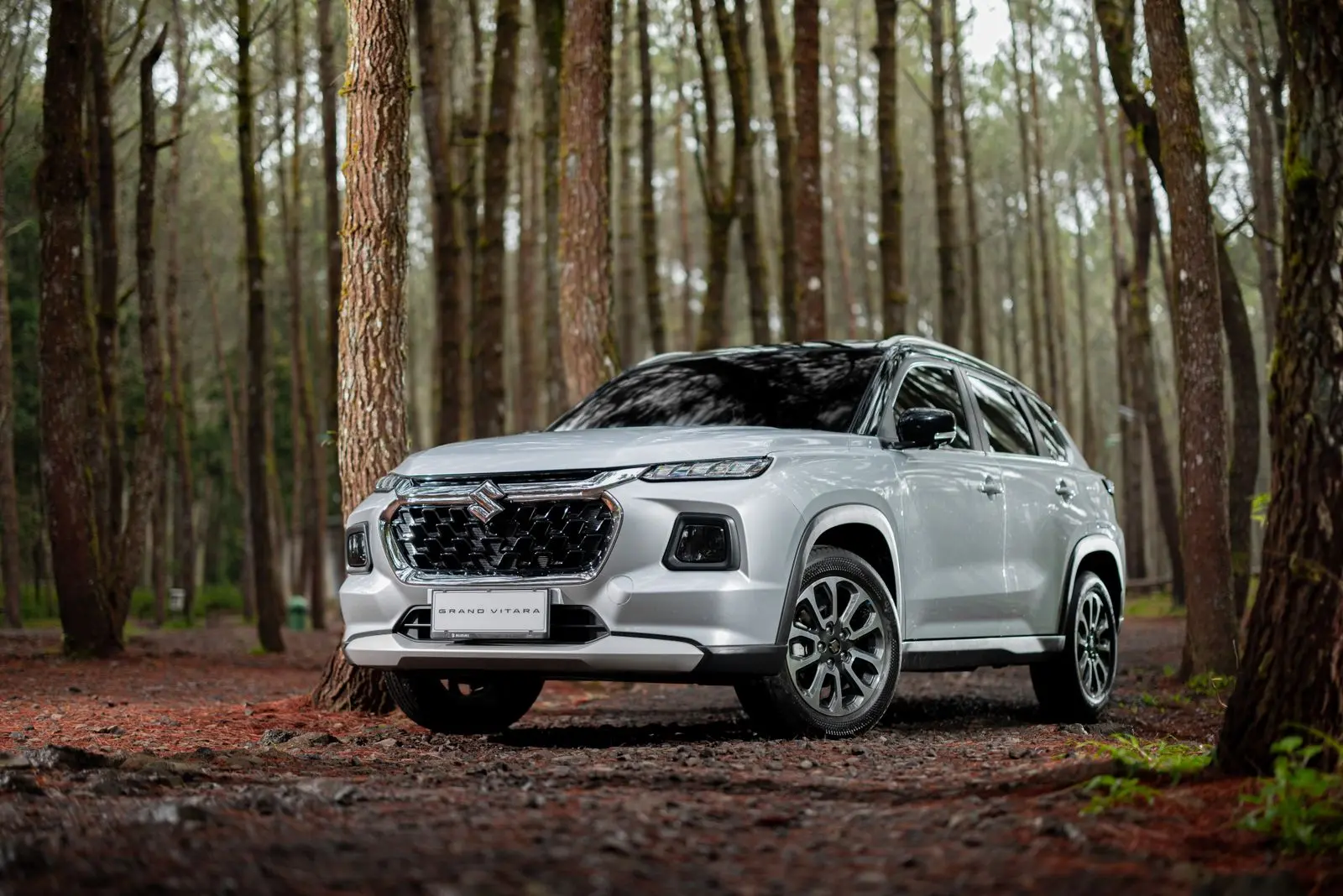 Cemerlang Data Penjualan Suzuki Tumbuh 17 Di Bulan November 2024