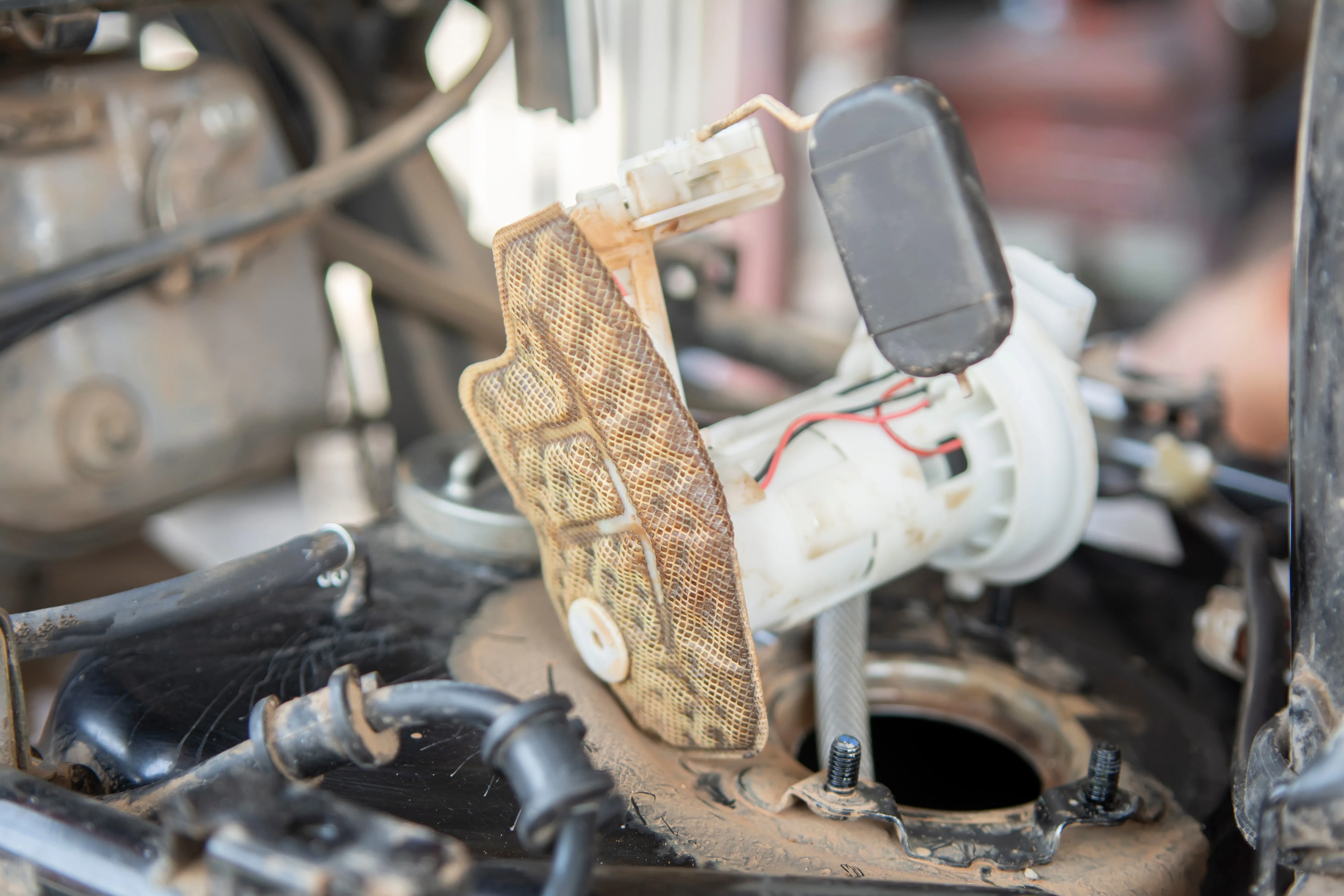 Cropped Image1761633955456