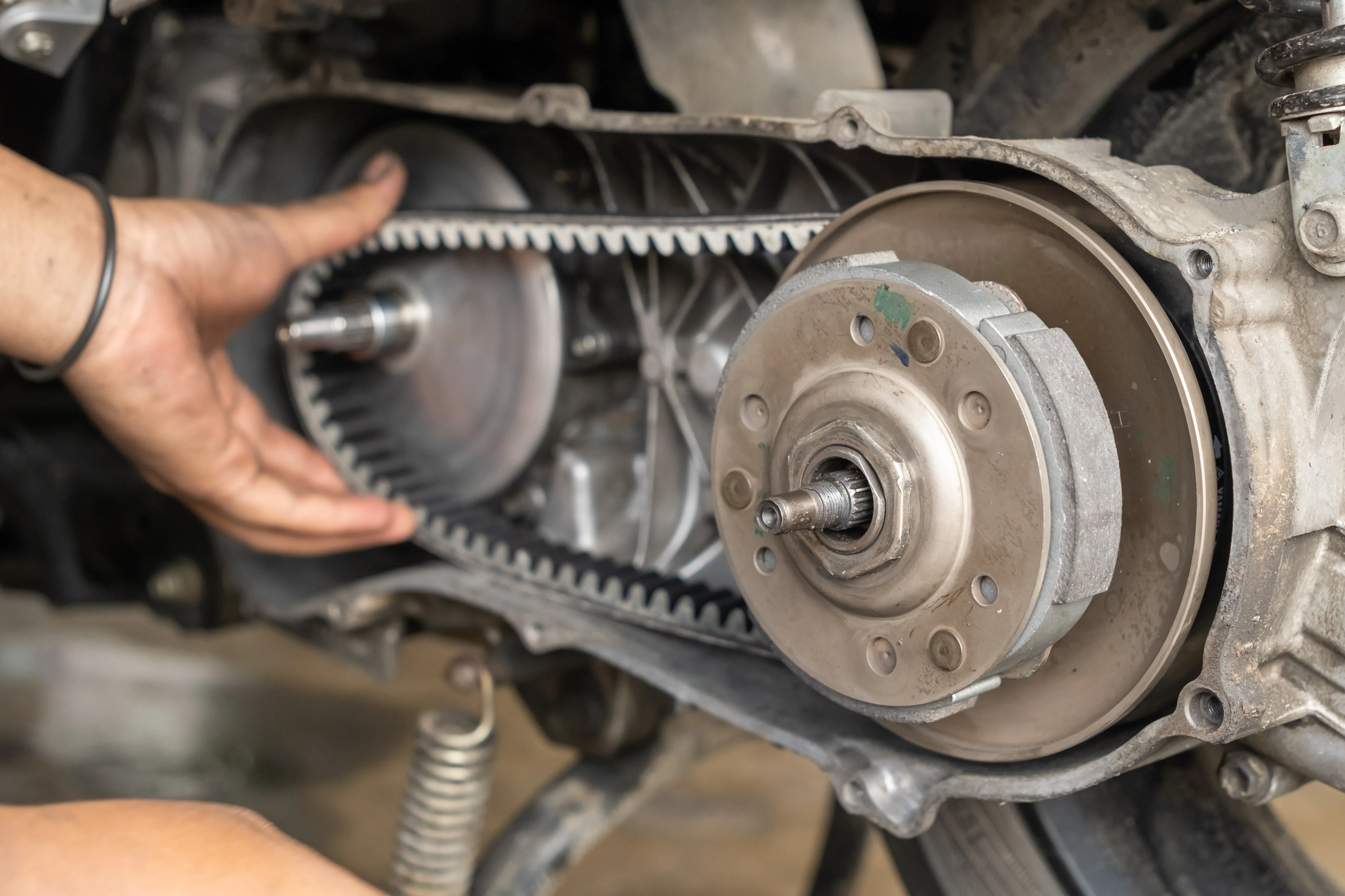 Cropped Image1761737384631