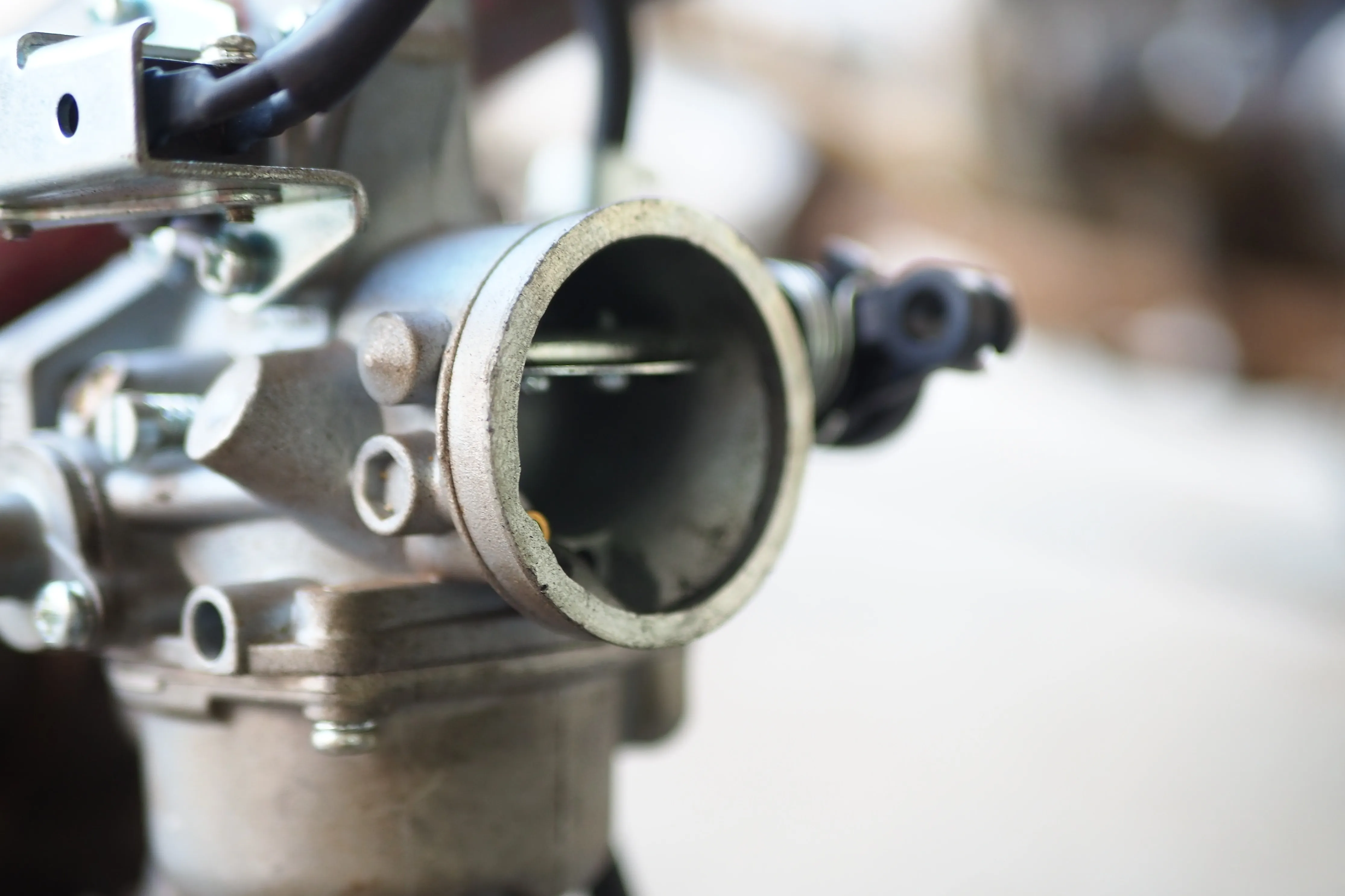 Cropped Image1761880611973