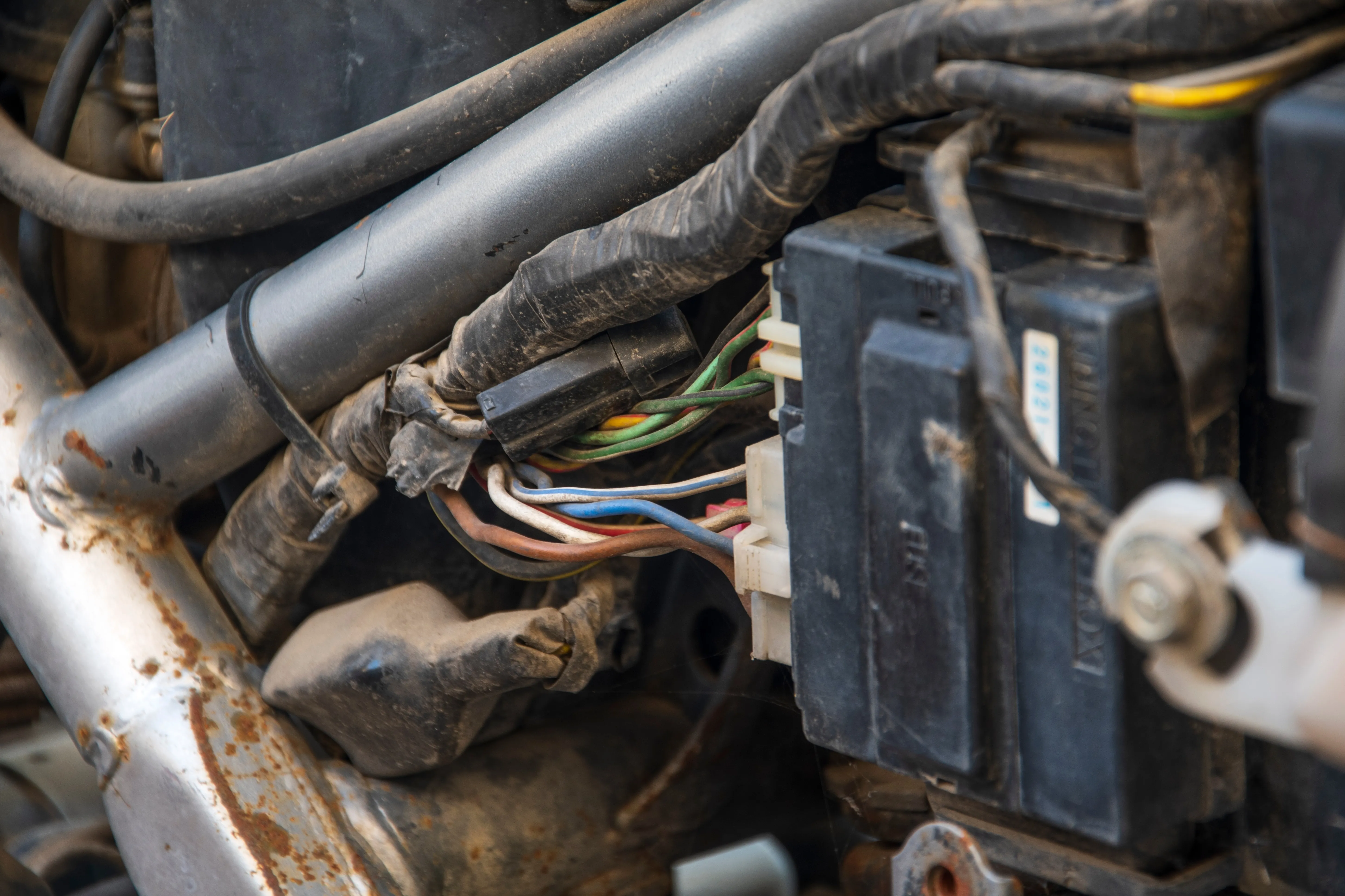 Cropped Image1763541517307