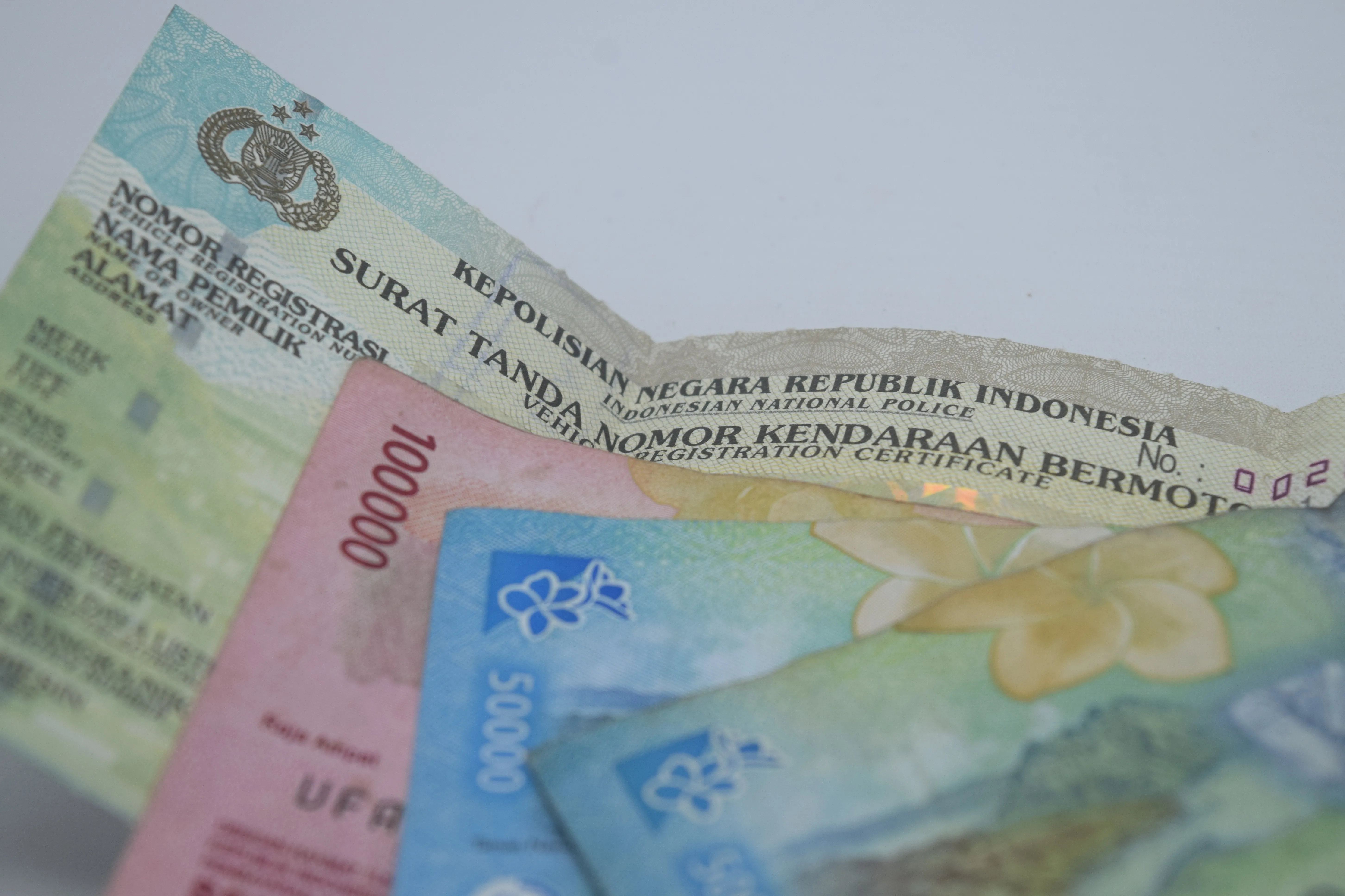 Cropped Image1763720510908