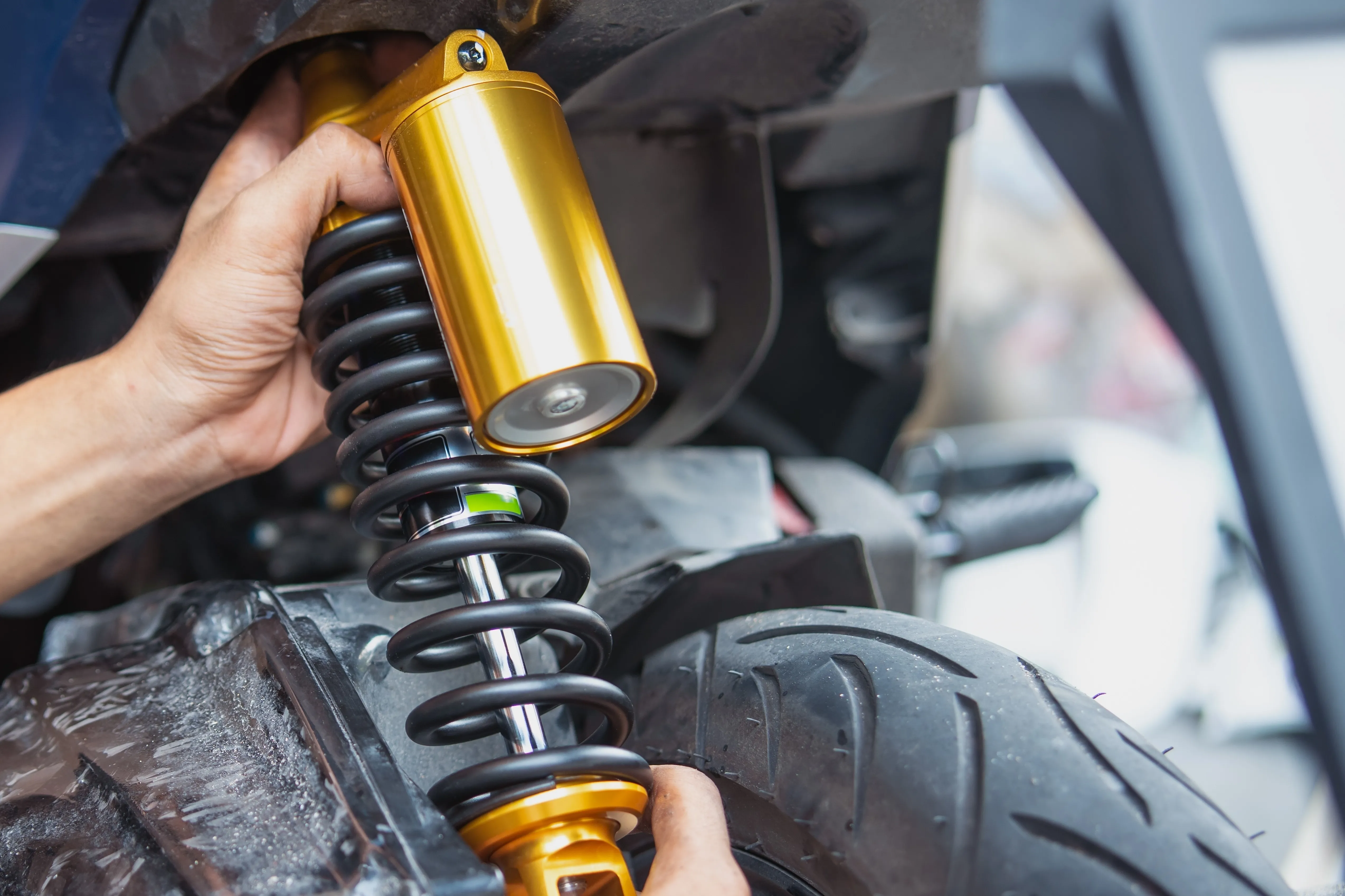 Cropped Image1764574720979