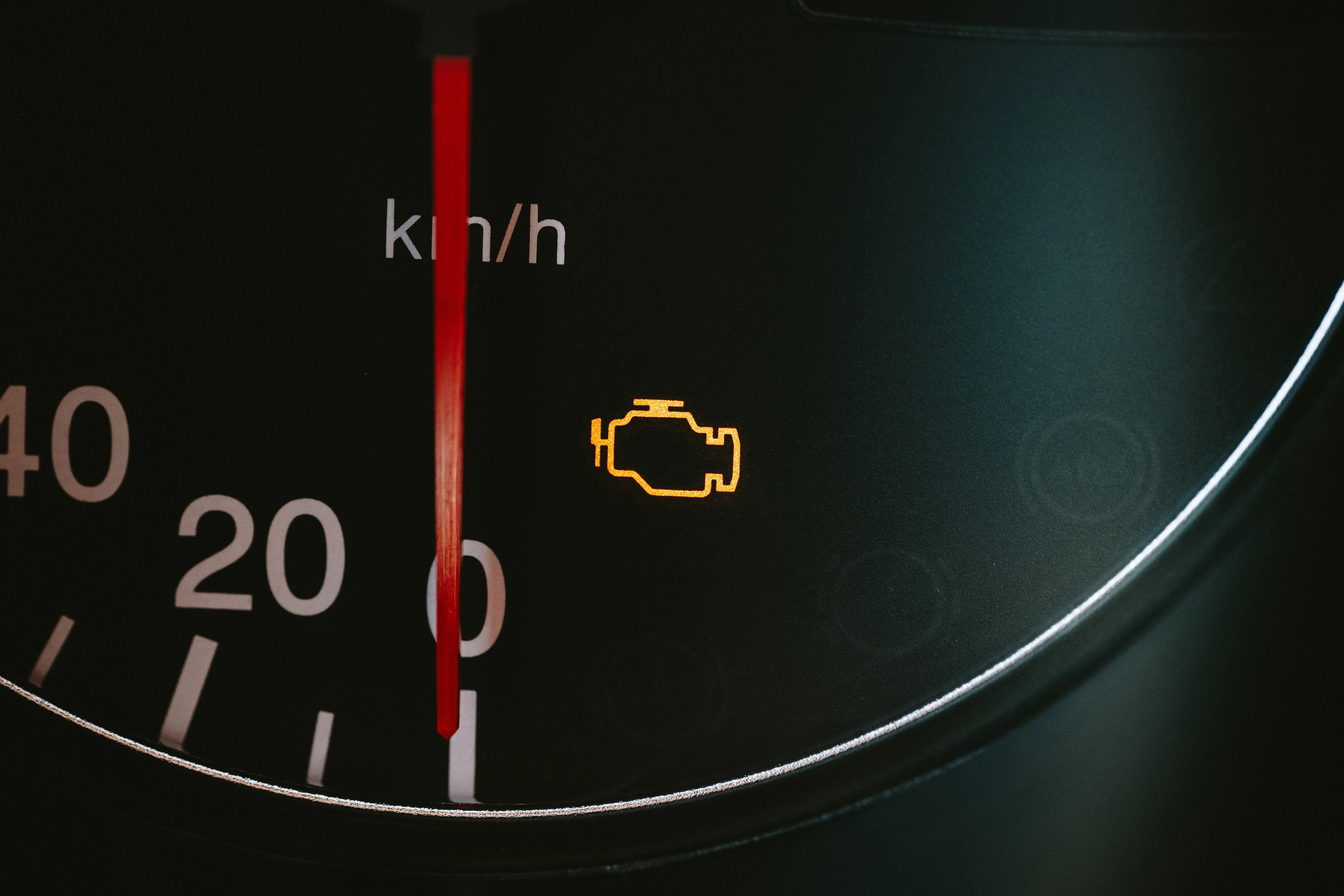 Cropped Image1765969277880