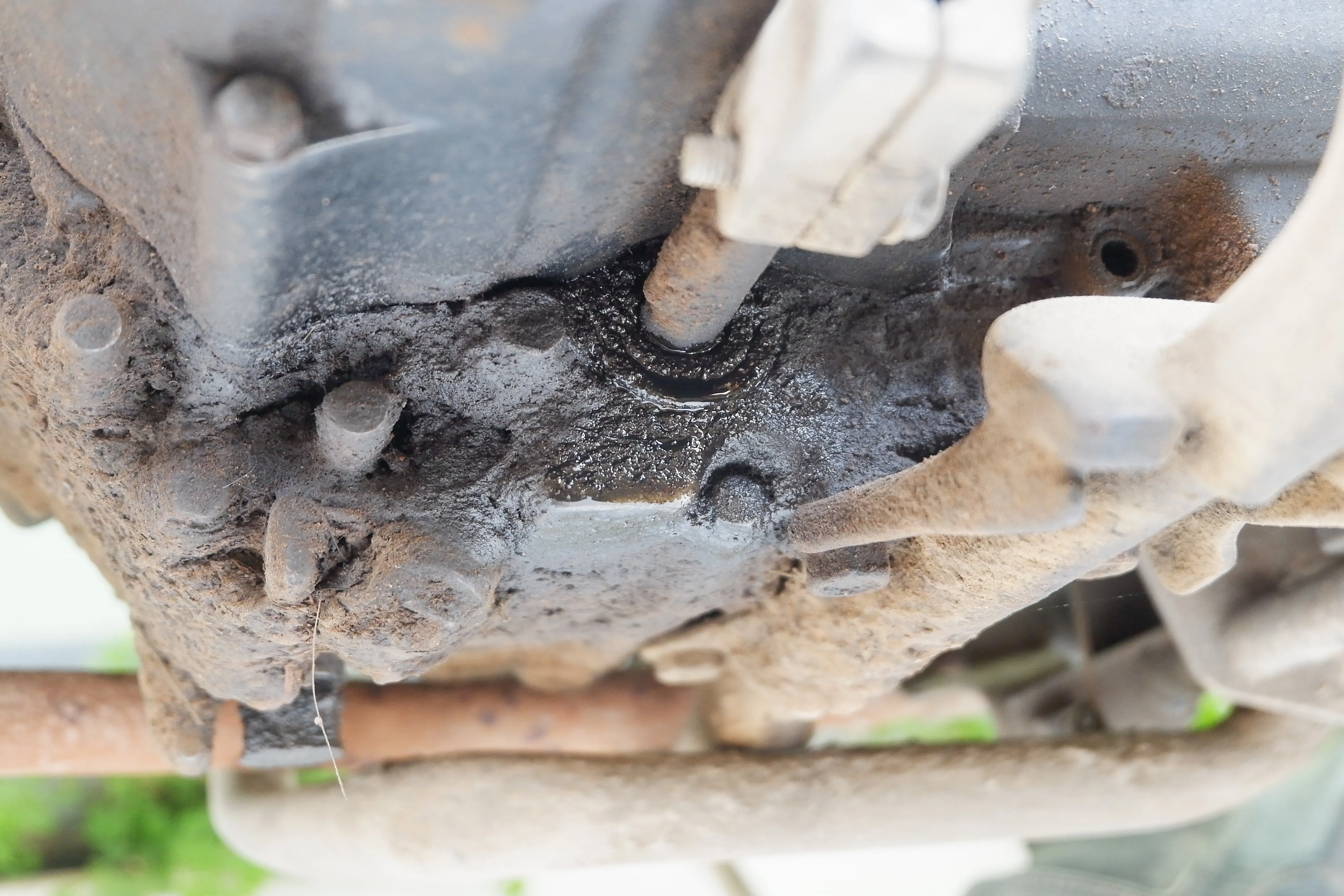 Cropped Image1766990674932