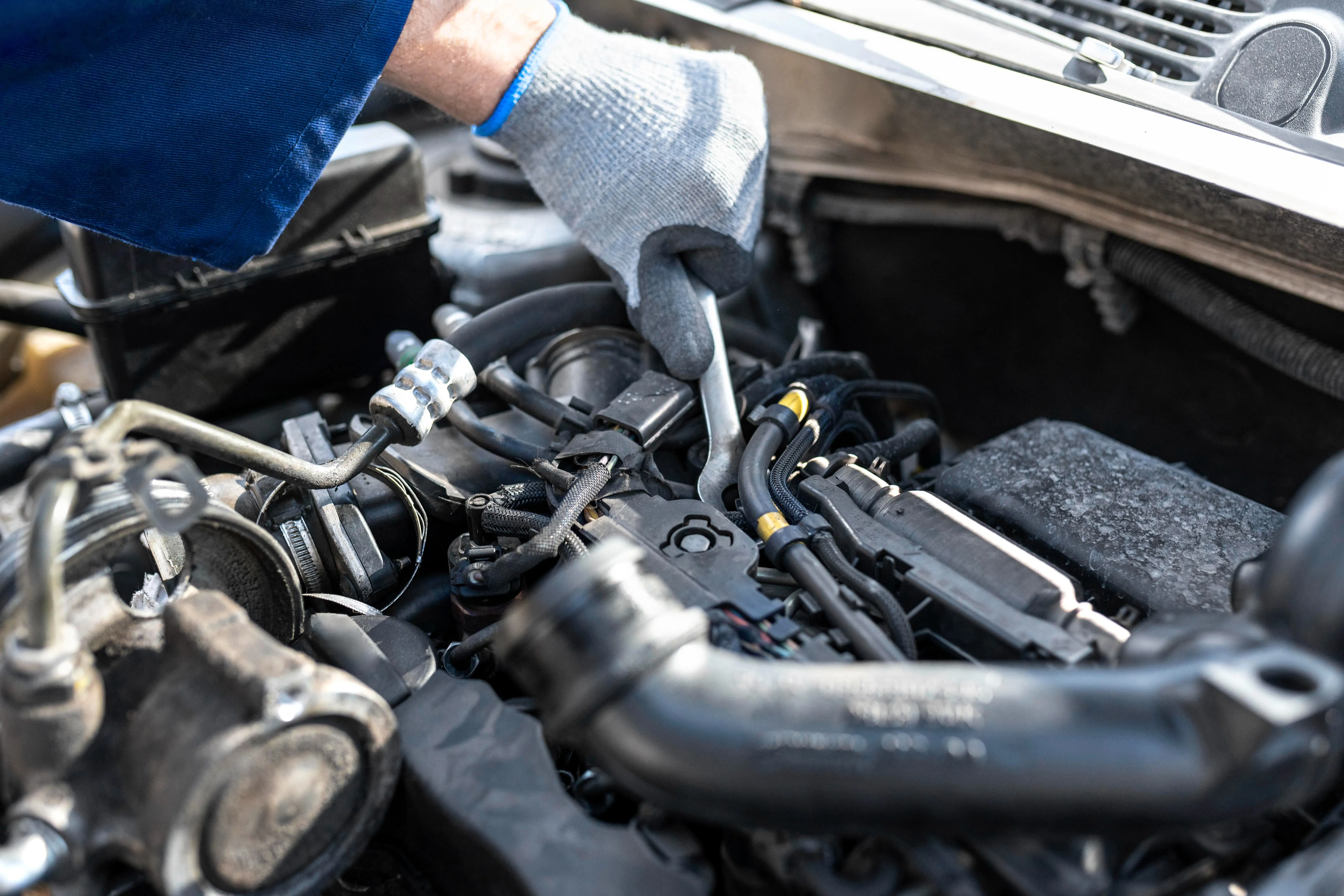 Cropped Image1766992755941