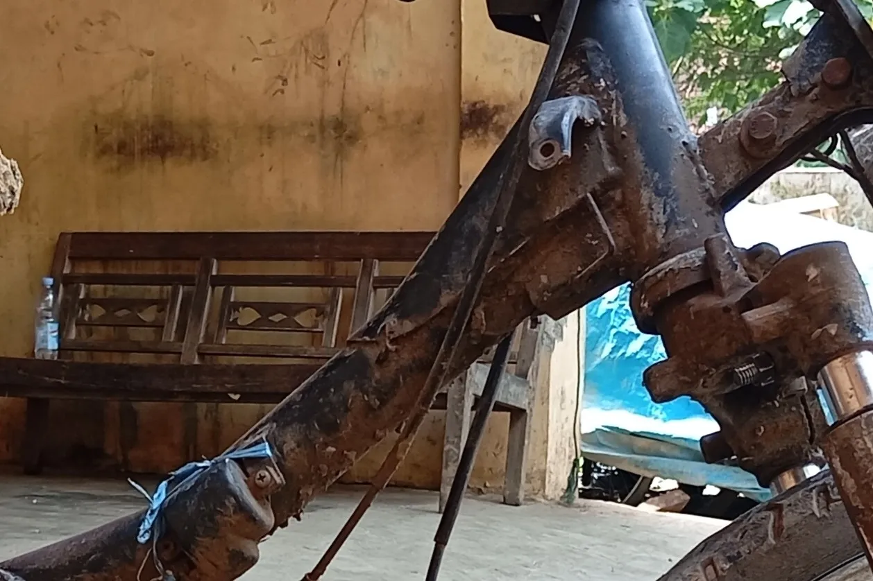 Cropped Image1769502696782