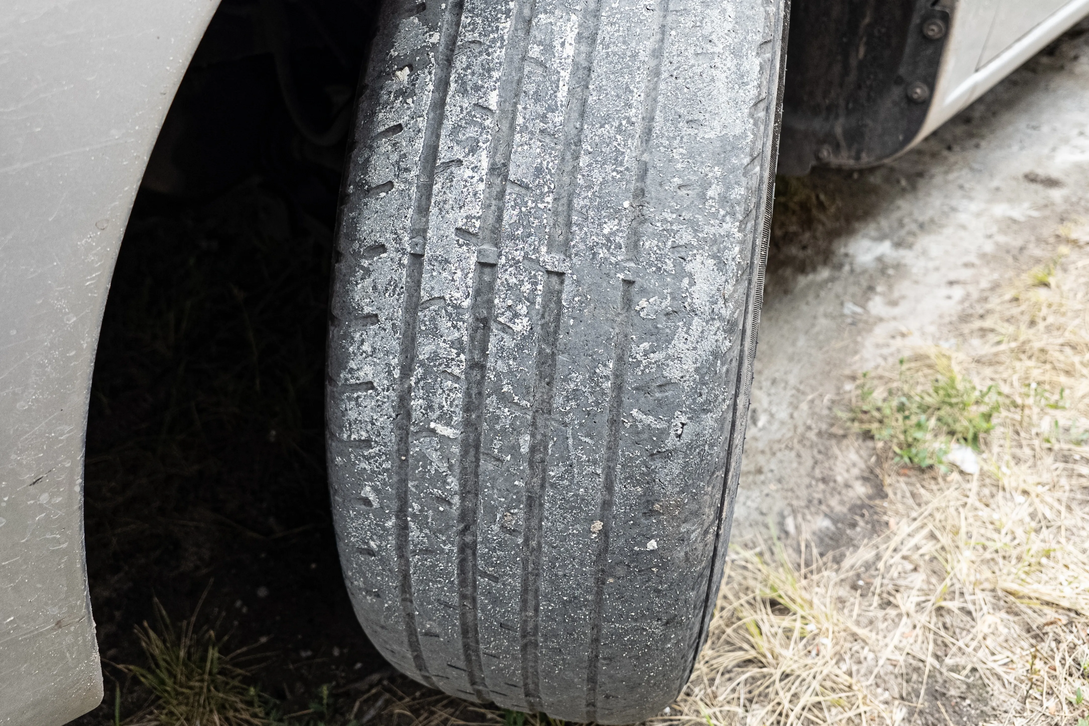 Cropped Image1769502737687