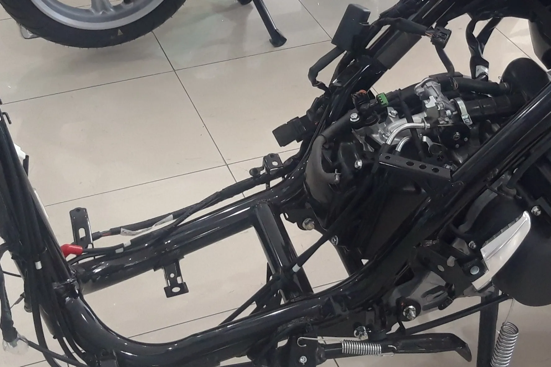 Cropped Image1769663391645