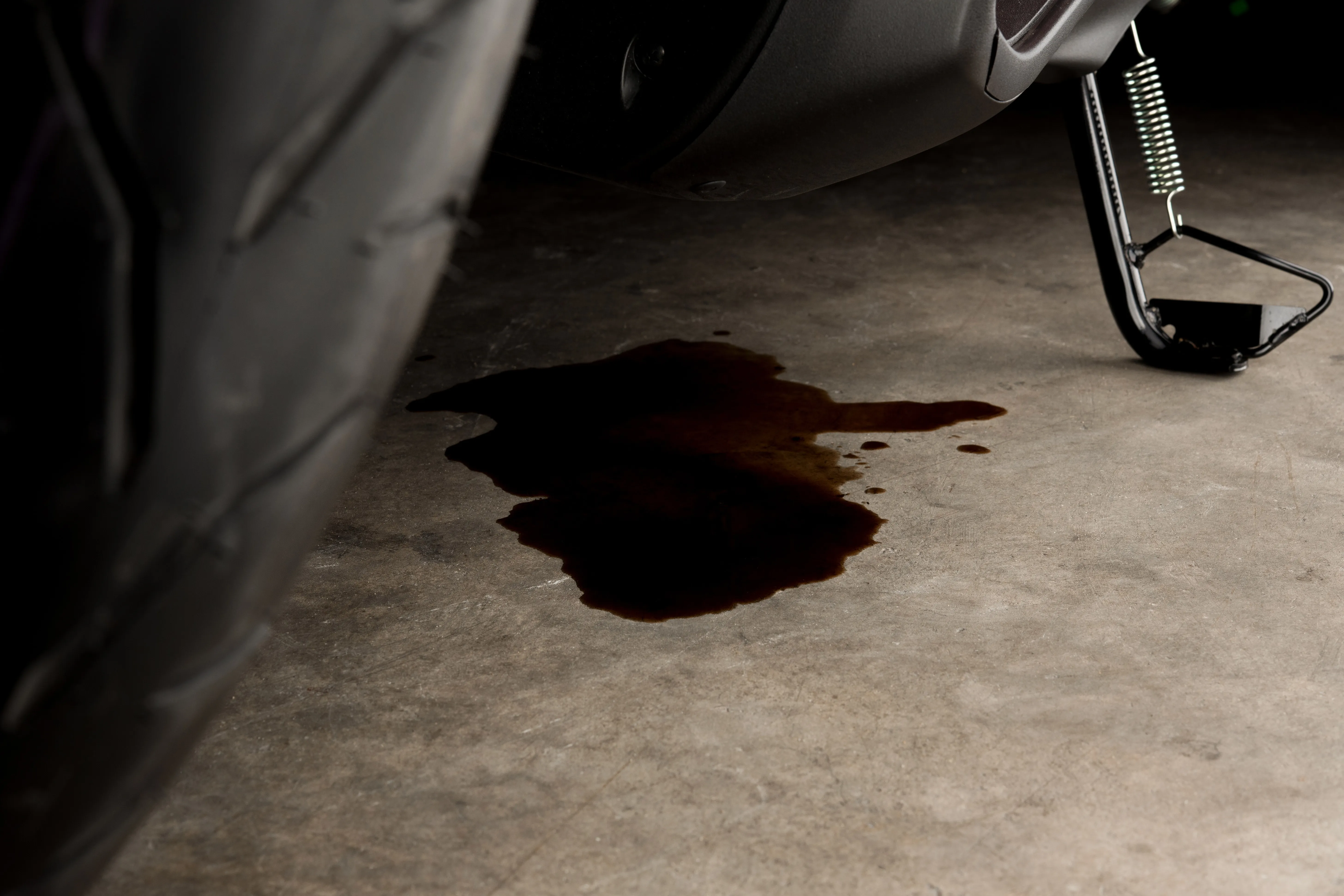 Cropped Image1770372334916