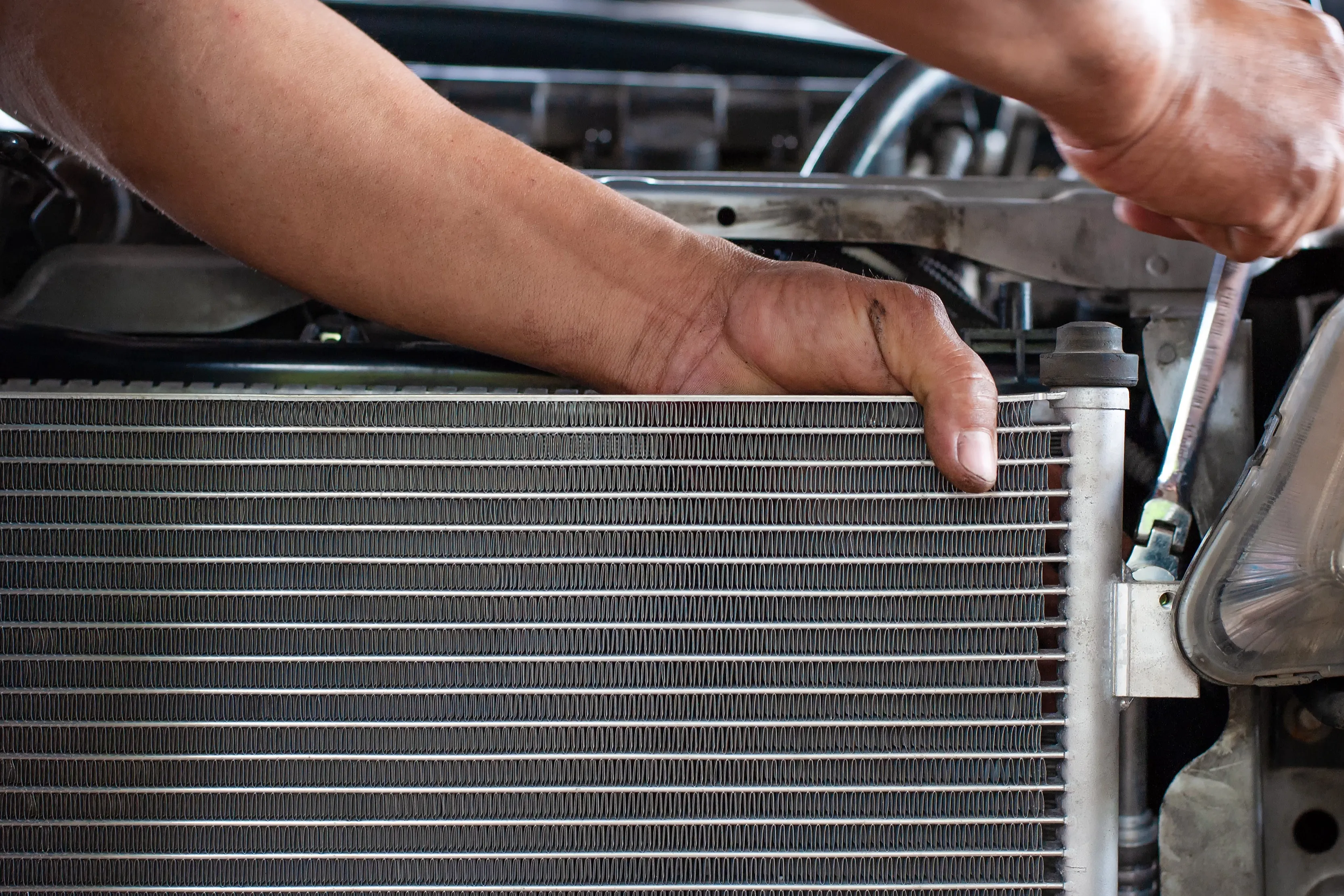 Cropped Image1770822120306