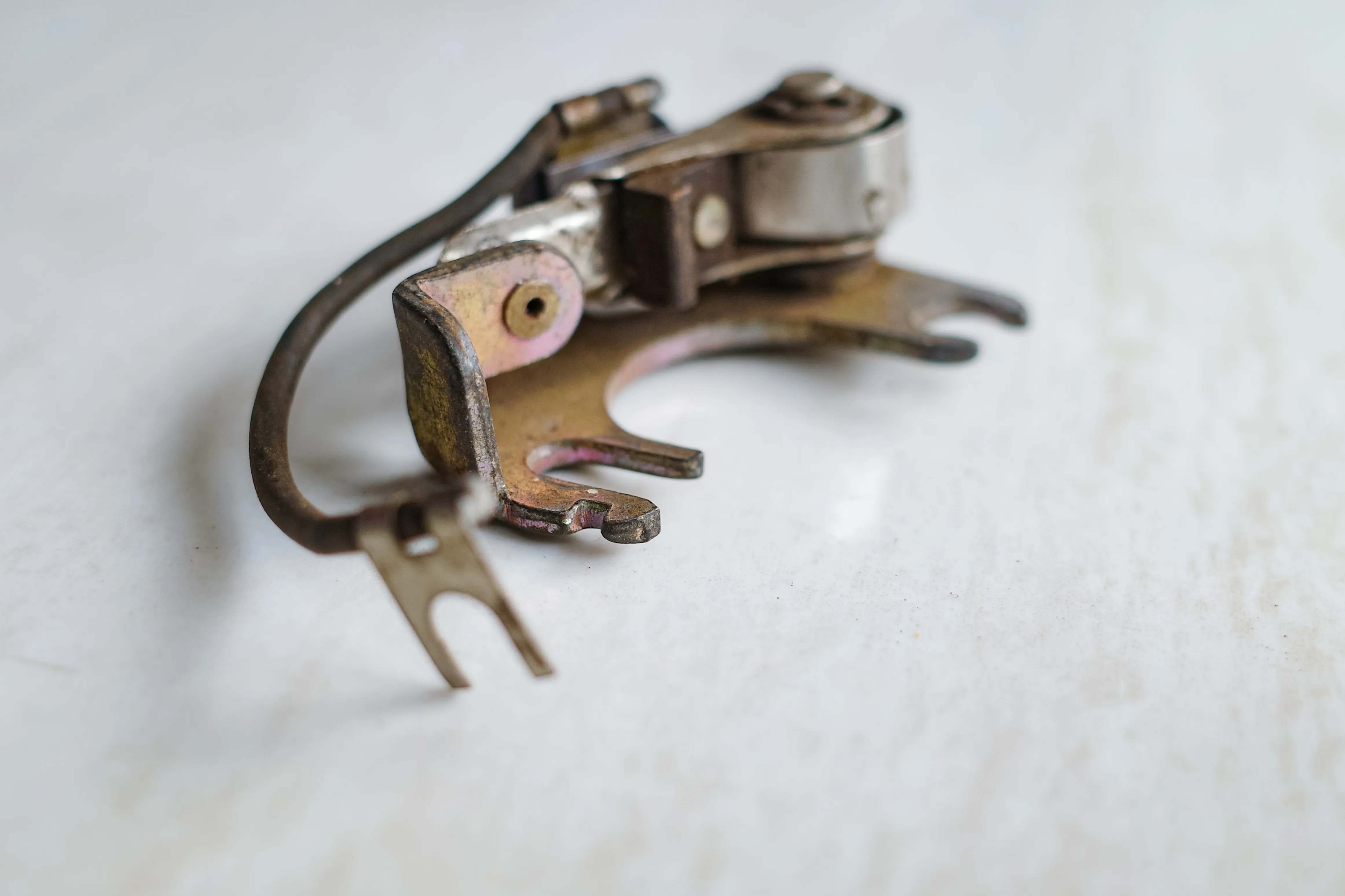 Cropped Image1770865800430