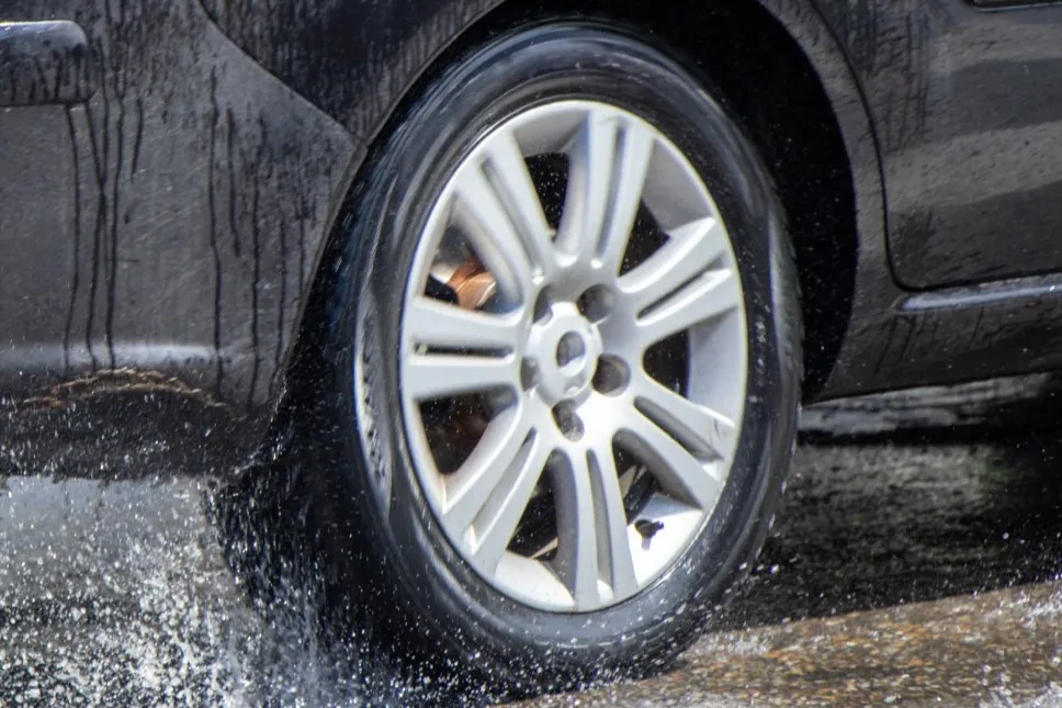 Cropped Image1771991029872