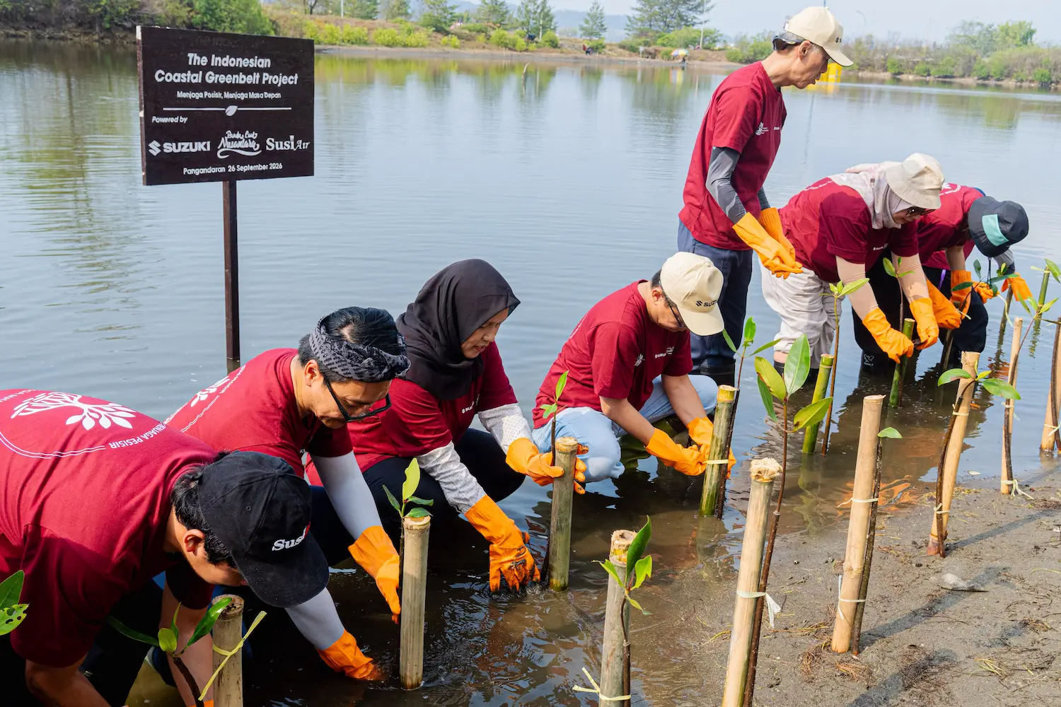Suzuki Bersama Pandu Laut Nusantara Dan Susi Air Kembali Tanam 1500 Bibit Mangrove Di Pangandaran Perkuat Ekosistem Pesisir