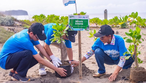 Suzuki Indonesia Dan Pandu Laut Nusantara Tanam 10000 Mangrove Di Pangandaran Thumb